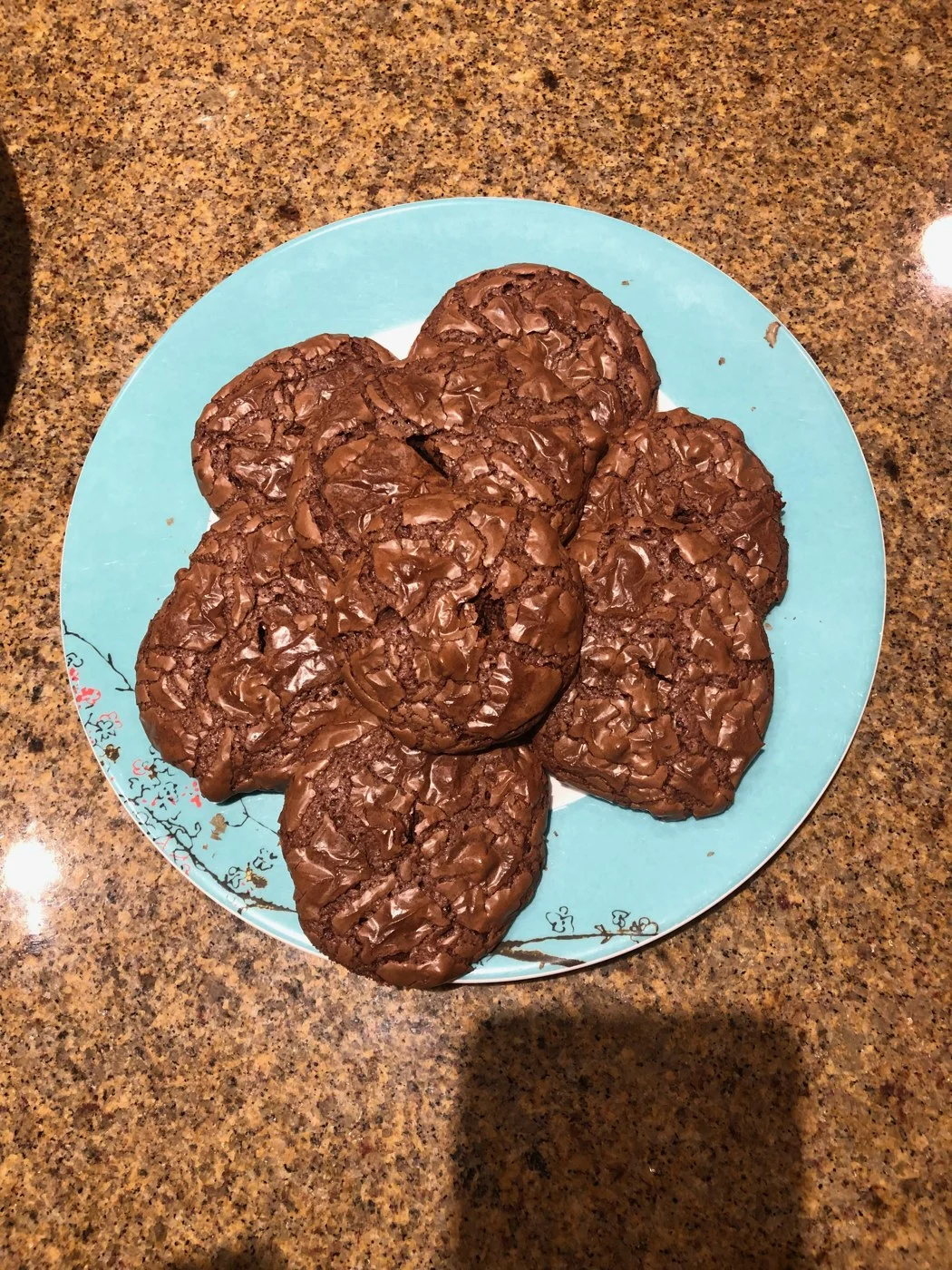 Dark chocolate-colored cookies with visible oat flakes on a turquoise plate.