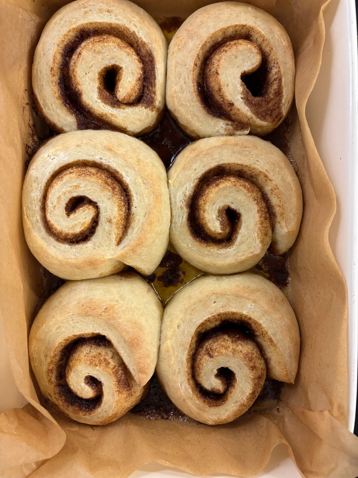 Six unglazed swirled rolls baked in a parchment-lined dish; browned cinnamon filling at their bases.